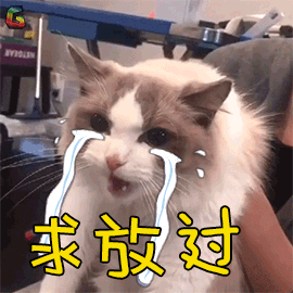 1666663452512860.gif 2.gif