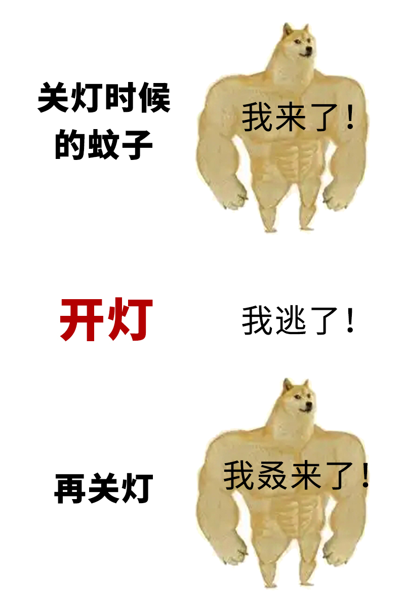 1666663536207164.jpg 1666663536207164.jpg